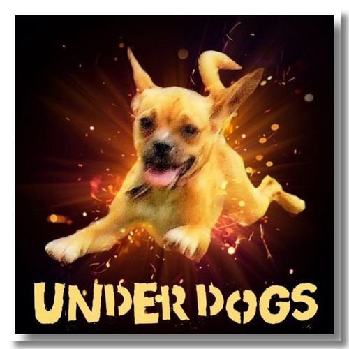 IG_underdogs's profile picture. An IG Community 
Founded By: Lea W. @ig_addict_ud
#insta_underdog #udog_bw #udog_edit #udog_feathers #udog_macro #udog_public #udog_sky KIK: UDogs