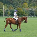 Sheila Everett - @evrydysagft - Twitter