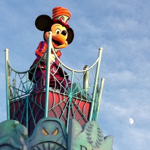 chiquito0123's profile picture. 