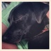 Kknox-Hall (@kellikh) Twitter profile photo
