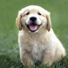 follow me and I'll follow you back. :)