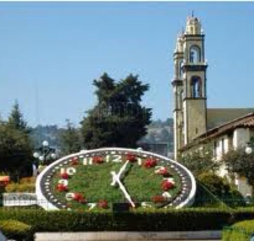 ZacatlanM's profile picture. 