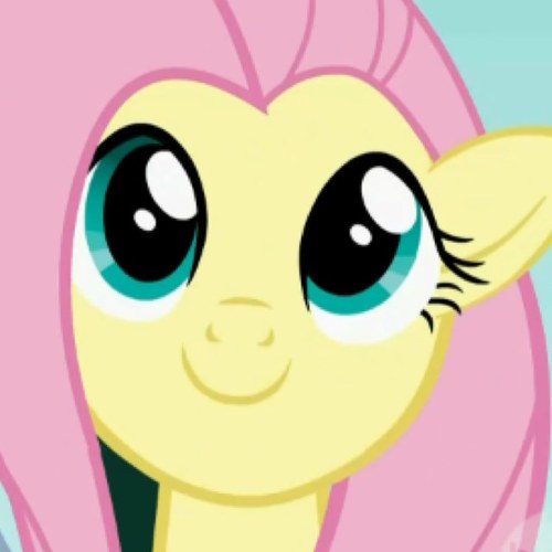 My Name is Fluttershy, i um.. *gulps* yea.. This is a rule 34 roleplay account, so its 18+ *blushes and hides her head under her wing*