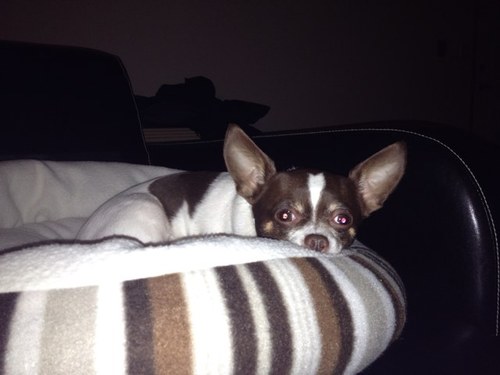 AlaynnaM's profile picture. 