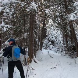 GrahamKK1's profile picture. 