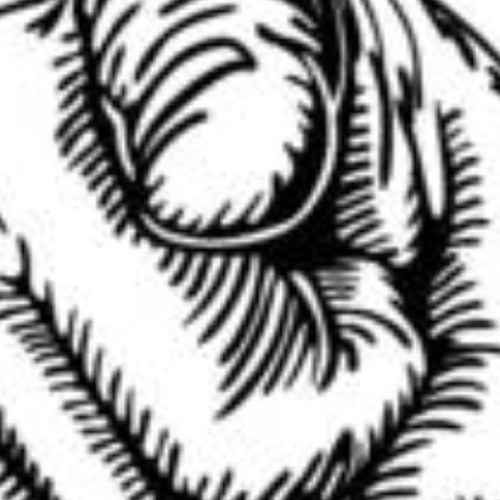 4truth4news's profile picture. #ignored #news #aggregator #click #click #click #click #click #click #click #click #click #click #click #click #ahhhhhhhhhhhic