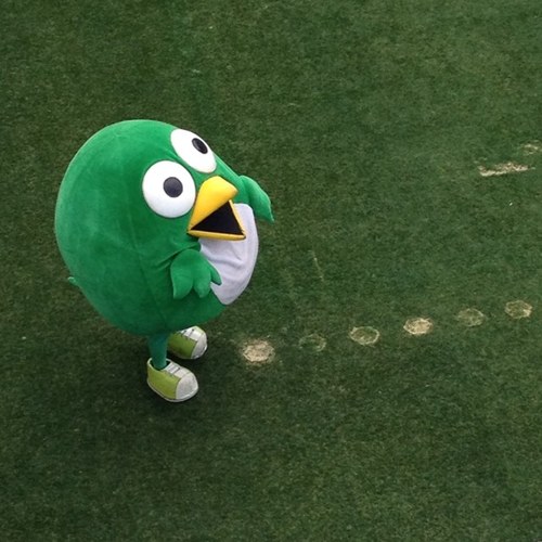 hana_megane12's profile picture. 佐賀県に住む主婦。 日々家族のご飯を作ったりゲームしたり。 かわいいとか言うだけの人生。羽生結弦くんとJリーグのサガン鳥栖を応援してるよ