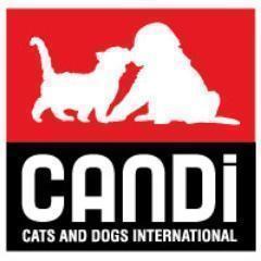 CANDi... saving the lives of stray cats and dogs through spay, neuter and adoption programs supported by the tourism industry, travelers and pet lovers.