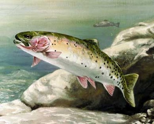 GuyerKalvin's profile picture. Aggie