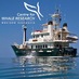 Centre4WhaleResearch (@cwr_wa) Twitter profile photo Centre4WhaleResearch (@cwr_wa) Twitter profile photo