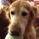 Scott McAmis - @SAMcamis - Twitter