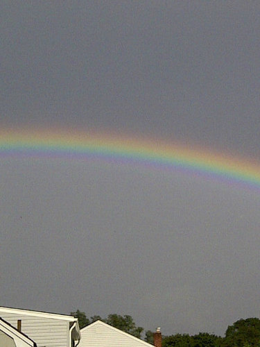 sesdk5's profile picture. 