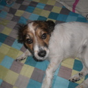 rafael espinosa - @rafael199666 - Twitter