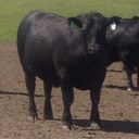 Chris Derks - @rhaderks - Twitter