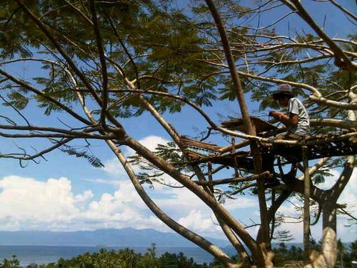 ncimncimncim's profile picture. ScrambleBrain