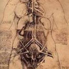 MisOrganos's profile picture. Estoy vendiendo mi Riñon por dificultades economicas! Seriedad y discrecion, contactarme por MD o por misorganos@hotmail.com. misorganos.rinon@facebook.com