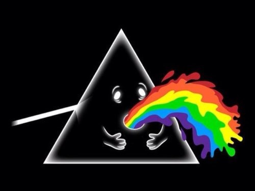 huencoma's profile picture. Naci ayer!