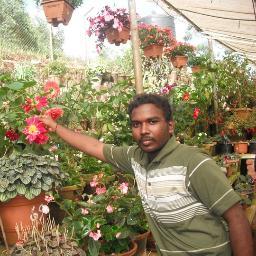 Software Engineer