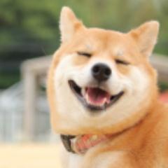 ＦＸ専業で食ってます。６０万くらいから初めていつの間にか億トレーダーとか呼ばれて、サラリーマン人生におさらば。資金を元手に事業やりつつ、相変わらずＦＸが中心の生活。学生、主婦、ニート、もちろんサラリーマンのフォロー大歓迎！ブログはガチ更新で気持ち悪いレベルだから役立てて！