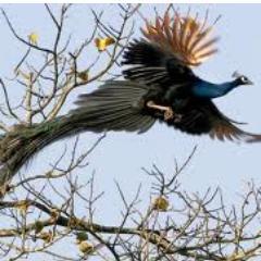 baekjungchul's profile picture. 