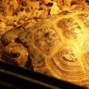 carol edwards - @carollewis24 - Twitter