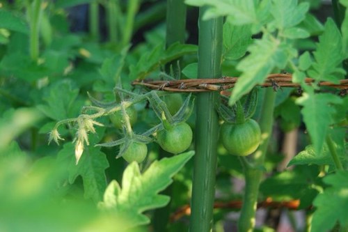 silkmk's profile picture. 