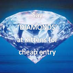 say Diamonds at Kittens, Spectrum for $5 entry saturday nights x