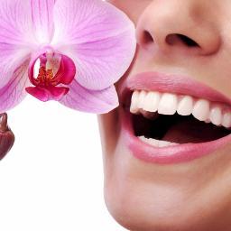 Established since 1937, we are the 2nd oldest Dental Practice in Liverpool, located in the popular suburbs of Kensington, with excellent public transport links.