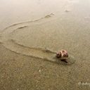 Indrajit Roy - @indrajitroy5 - Twitter