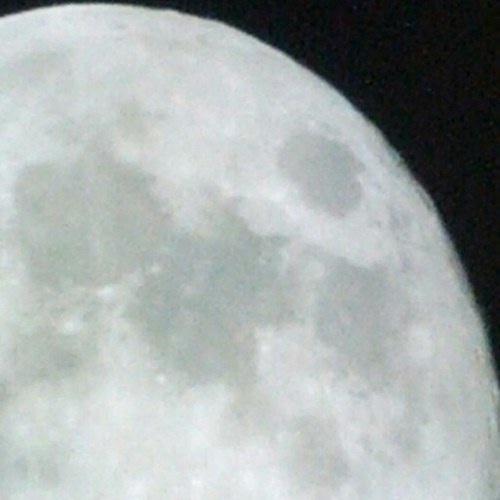 xmarksyourmom's profile picture. I like stuff 'n things.