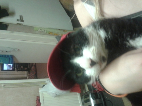 BexbooRc's profile picture. 