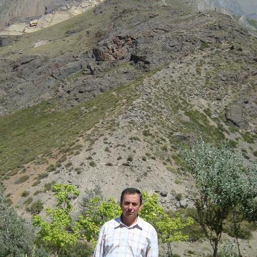 Ingeniero Comercial