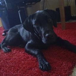 masse_b's profile picture. 