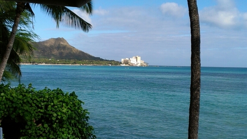 uplate808's profile picture. 