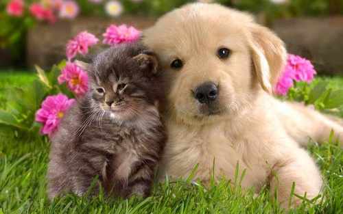 BE KIND TO ONE ANOTHER!