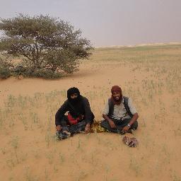 akremaalansary's profile picture. 