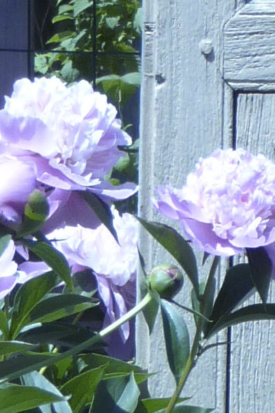 theurbangrange's profile picture. Supplies-Services-Support for Urban Farmers