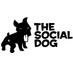 The Social Dog (@socialdogfilms) Twitter profile photo