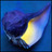 joximiqotyf's profile image