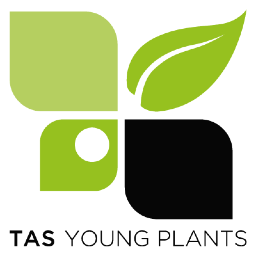 TASYoungPlants's profile picture. Varen vermeerderaar en dienstverlenend opkweekbedrijf voor de sierteelt! Een jong bedrijf met een lang verleden.