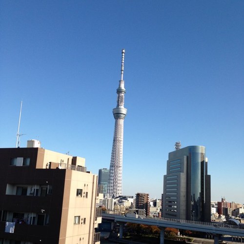 MifuneTerao's profile picture. Founder, Researcher, Father