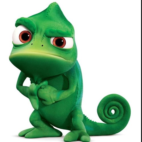 chewkim9's profile picture. 