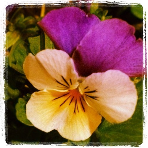 NakaYoshihiro's profile picture. 九州男児。よく映画館や神社に出没します。最近はモノクロ写真をやってます。アートディレクター。