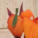 Angela Tasker - @angela_tasker - Twitter