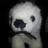 PierrePolarBear's profile image