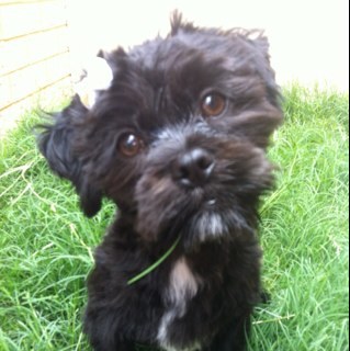 MareeIvoi's profile picture. 