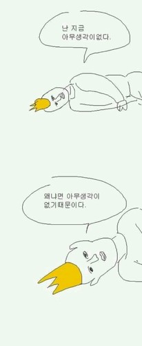 빠샤빠샤
