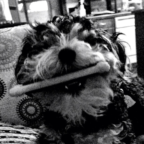 dexmachine's profile picture. 