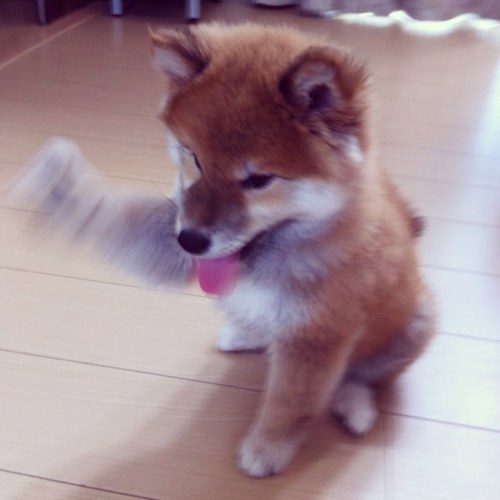 yana7096's profile picture. 