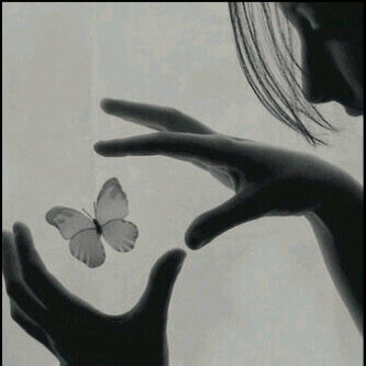 amjadeez's profile picture. 